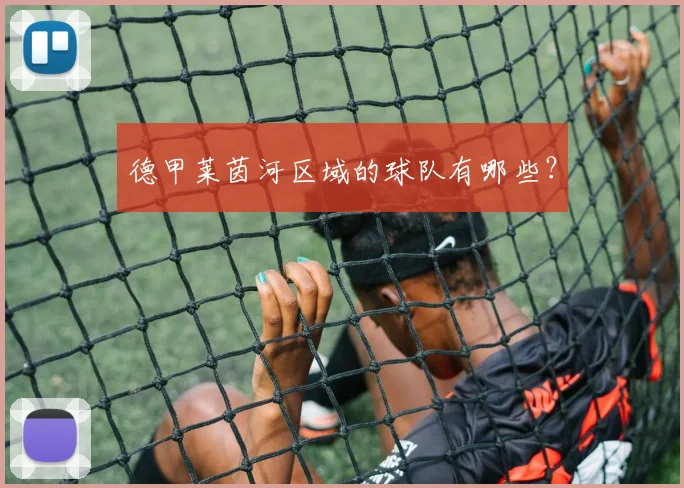 德甲莱茵河区域的球队有哪些？