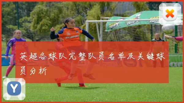 英超各球队完整队员名单及关键球员分析