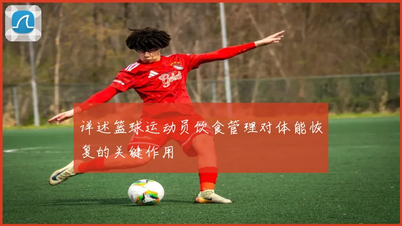 详述篮球运动员饮食管理对体能恢复的关键作用