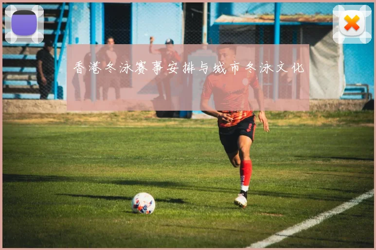 香港冬泳赛事安排与城市冬泳文化